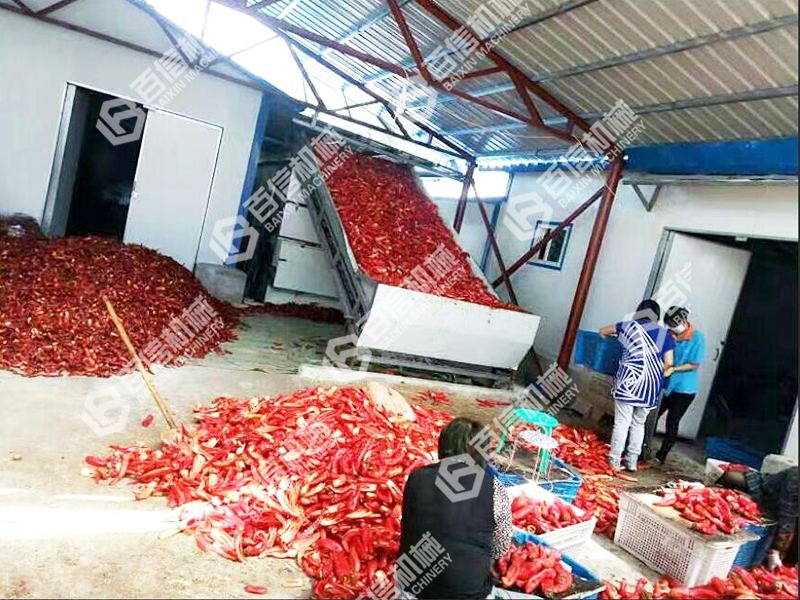 永春辣椒烘干機(jī)